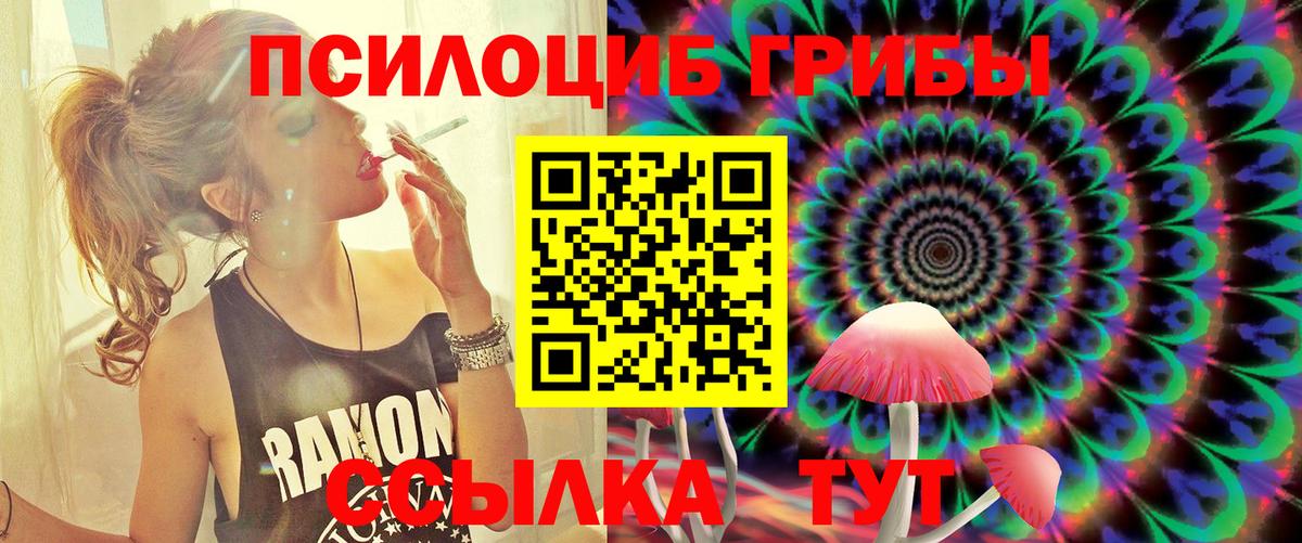 Псилоцибиновые грибы Psilocybine cubensis Советская Гавань