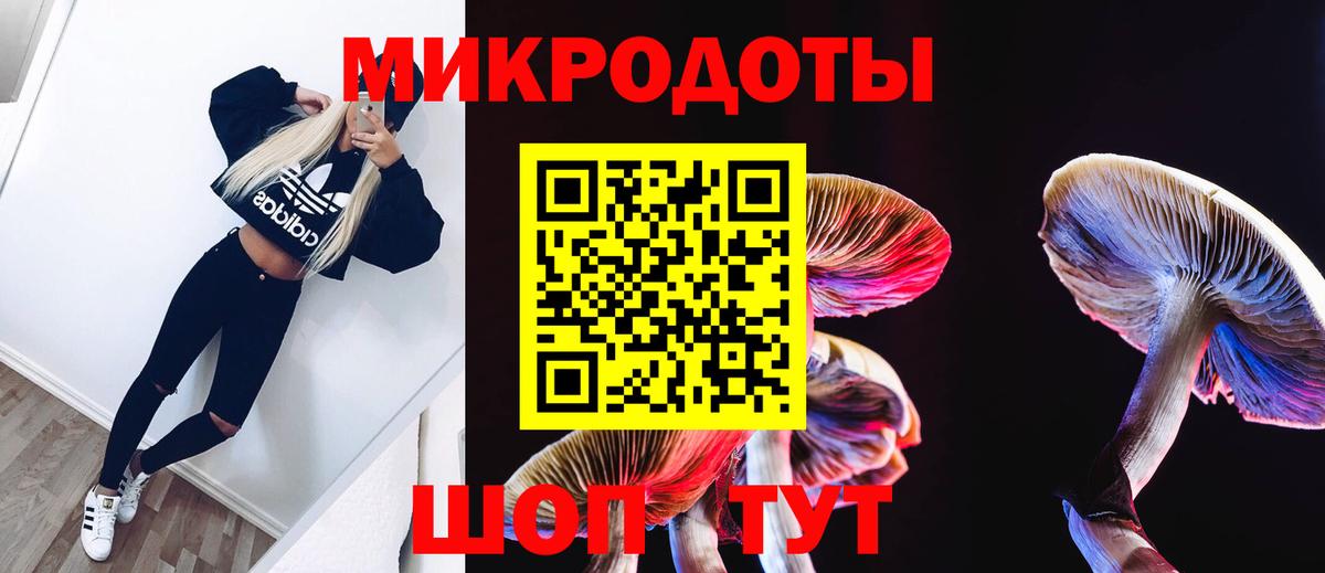 Псилоцибиновые грибы Psilocybe  Вход с VPN  Галлюциногенные грибы Psilocybine cubensis  Советская Гавань 